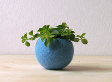 Turquoise planter/Succulent planter/air plant holder/cactus pot/plant vase/modern decor/spring decor