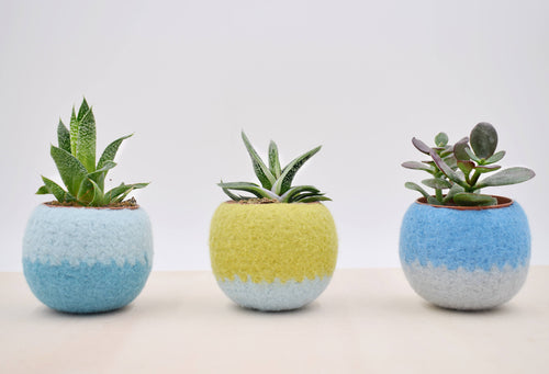 Windowsill planter/Succulent planter/Felt plant vase/pod/mother day gift/ gift for her/7th anniversary gift/Set of three
