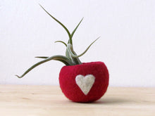 Gift for her/Succulent planter/Valentine gift/Cute cactus planter/Love planter/gift for mom/girlfriend gift