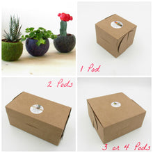 Gift for her/Succulent planter/Valentine gift/Cute cactus planter/Love planter/gift for mom/girlfriend gift