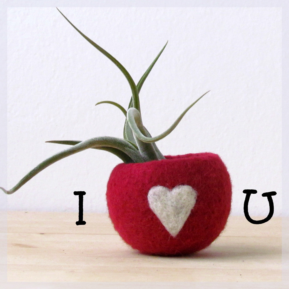 Gift for her/Succulent planter/Valentine gift/Cute cactus planter/Love planter/gift for mom/girlfriend gift