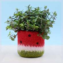 Watermelon vase/Felt succulent planter/summer gift/felted planter/cactus vase/housewarming gift/cabin decor/gift for her