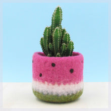 Watermelon vase/Felt succulent planter/summer gift/felted planter/cactus vase/housewarming gift/Red watermelon/gift for her