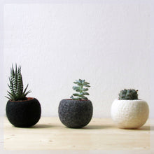 Hygge decor/Succulent planter/air plant holder/cactus pot/plant vase/modern decor/set of 3