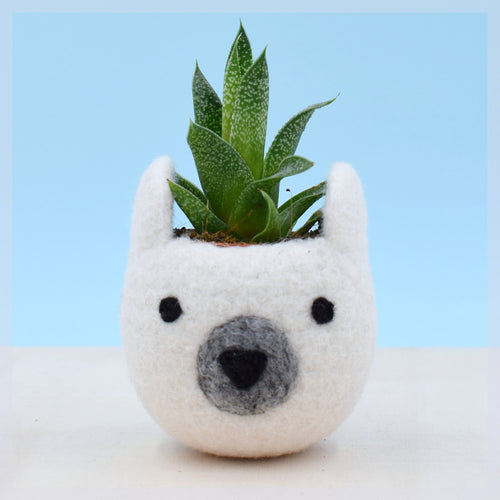Succulent planter/white bear planter/cactus pot/succulent vase/ mini planter/Bear lover gift/nursery decoration