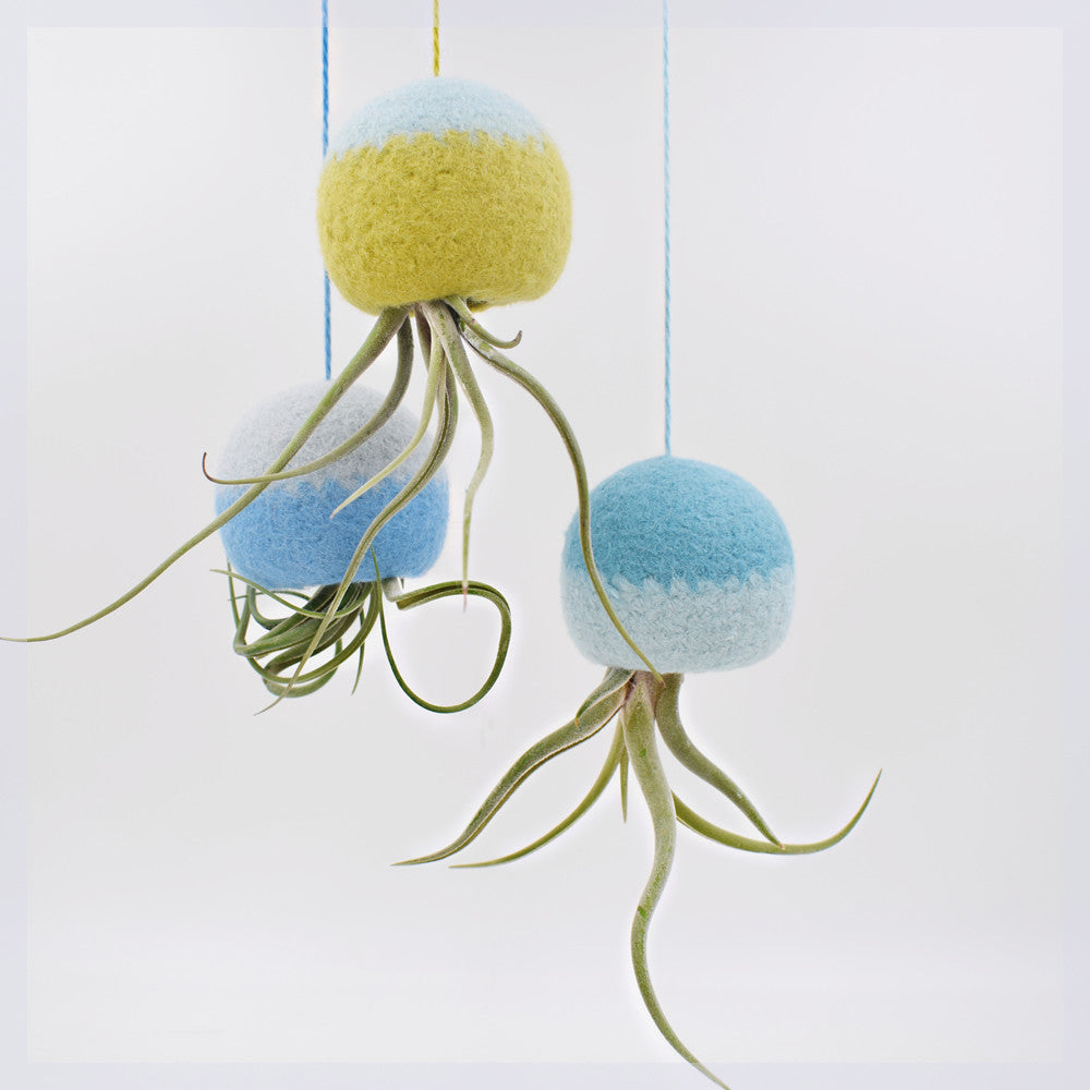 octopus air plant holder Unique Air plant holder, Set of three – The Yarn Kitchen