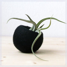 Hygge decor/Succulent planter/air plant holder/cactus pot/plant vase/modern decor/set of 3