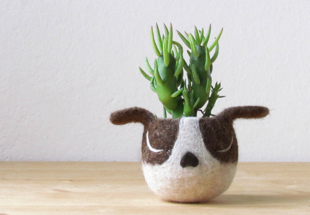 boston terrier succulent planter Boston terrier Dog lover gift, Cactus planter – The Yarn Kitchen