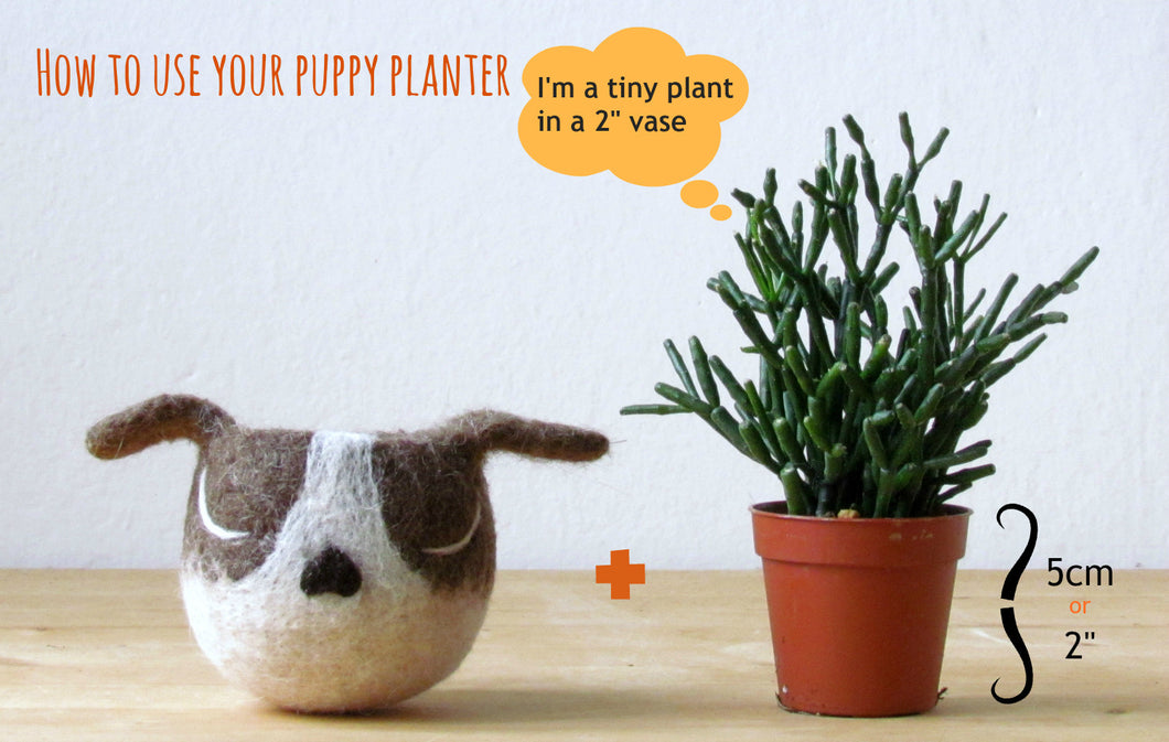 boston terrier succulent planter Boston terrier Dog lover gift, Cactus planter – The Yarn Kitchen