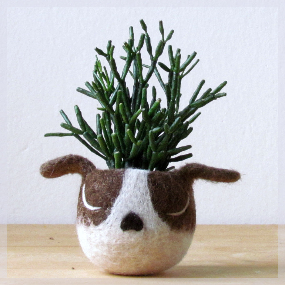 boston terrier succulent planter Boston terrier Dog lover gift, Cactus planter – The Yarn Kitchen