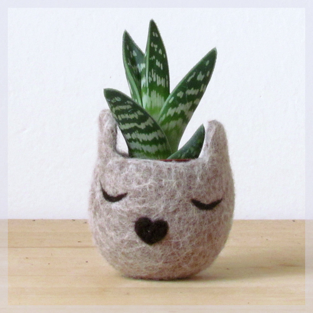Felt succulent planter/7th anniversary gift/Small succulent pot/Cat head planter/Personalized planter/Cat person gift