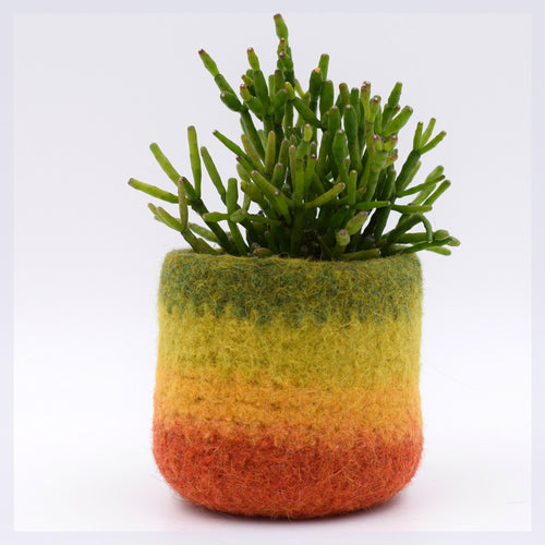 Felt cactus vase