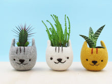 Cat lover gifts for women/white felt succulent planter/Neko Atsume special edition/Cat head planter/Kawaii kitty gift/gift for her