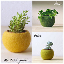 Mini planter set/plant pot/indoor planter/cactus vase/wife gift/home decor/kitchen decor/succulent planter/birthday gift
