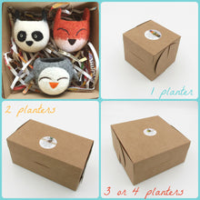 Girlfriend gift/Felt succulent planter/Neko Atsume/Kitty collector/Cat head planter/Kawaii cat gift/Set of three