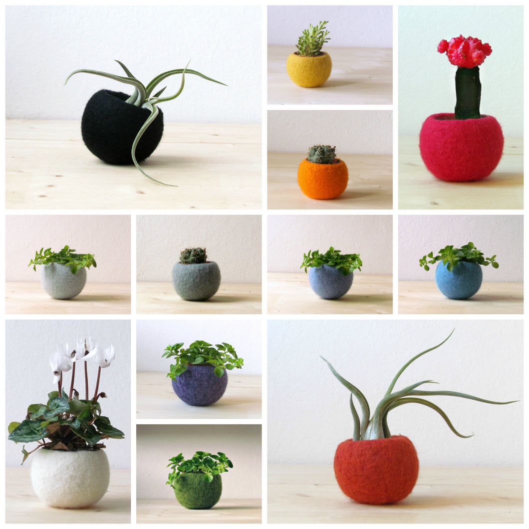 felt succulent planter Modern planter/Felt succulent planter/Wedding favor/Cactus terrarium/f – The Yarn Kitchen