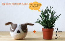 Dog Succulent planter