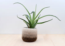 Felt succulent vase/Earth/felted planter/cactus vase/Ombre brown/housewarming gift/gift for her