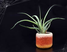 Candy corn vase/Felt succulent planter/Halloween gift/felted planter/cactus vase/desk decor/home decor