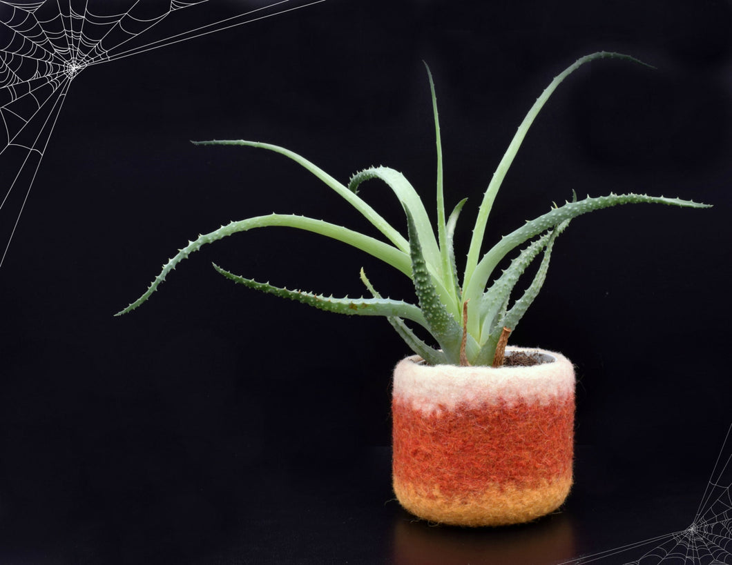 candy corn succulent Candy corn vase/Felt succulent planter/Halloween gift/felted planter/c – The Yarn Kitchen