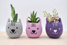 Neko Atsume planter special edition/Felt succulent planter/Cat head planter/Valentine day gift/gift for her