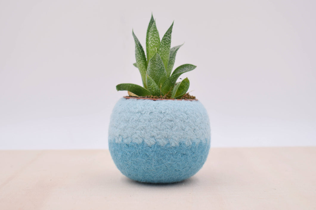 Succulent planter/Felt plant vase/felted bowl/Succulent pod/something blue/ gift for her/7th anniversary gift