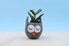 Succulent planter/Owl planter/cactus pot/Owl vase/ mini planter/Owl lover gift/gift for her