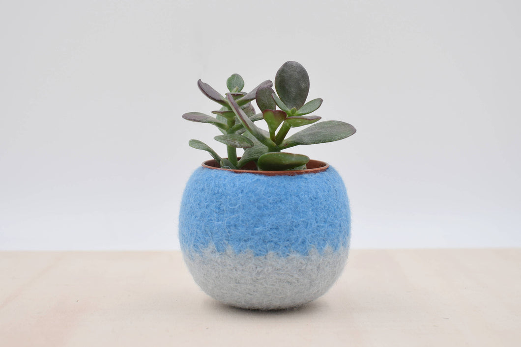 Succulent planter/Felt plant vase/felted bowl/Succulent pod/gift for her/windowsill planter/7th anniversary gift