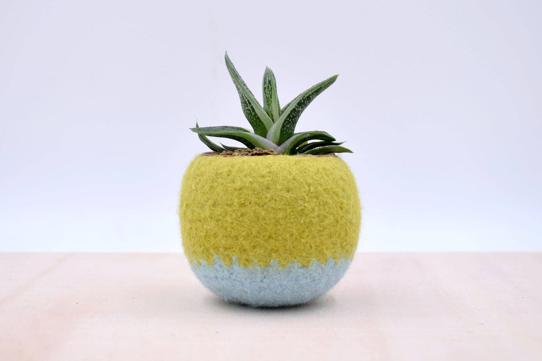 succulent windowsill planter Windowsill planter/Succulent planter/Felt plant vase/pod/mother day gi – The Yarn Kitchen
