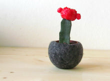 Felt plant vase/felted bowl/Succulent pod/grey/desk organizer