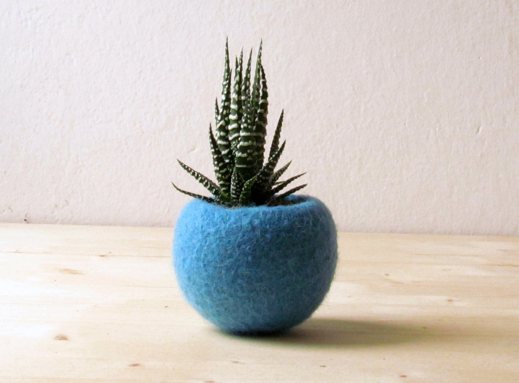 turquoise succulent planter Turquoise planter/Succulent planter/air plant holder/cactus pot/plant – The Yarn Kitchen
