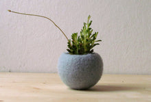 Felt succulent planter/felted bowl/Succulent pod/light grey mint green/winter decor