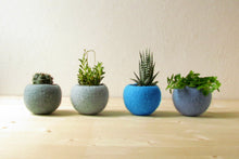 Felt succulent planter/felted bowl/Succulent pod/light blue/mother day gift