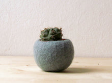 Succulent planter/air plant holder/cactus pot/plant vase/modern decor/winter decor