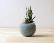 Succulent planter/air plant holder/cactus pot/plant vase/modern decor/winter decor