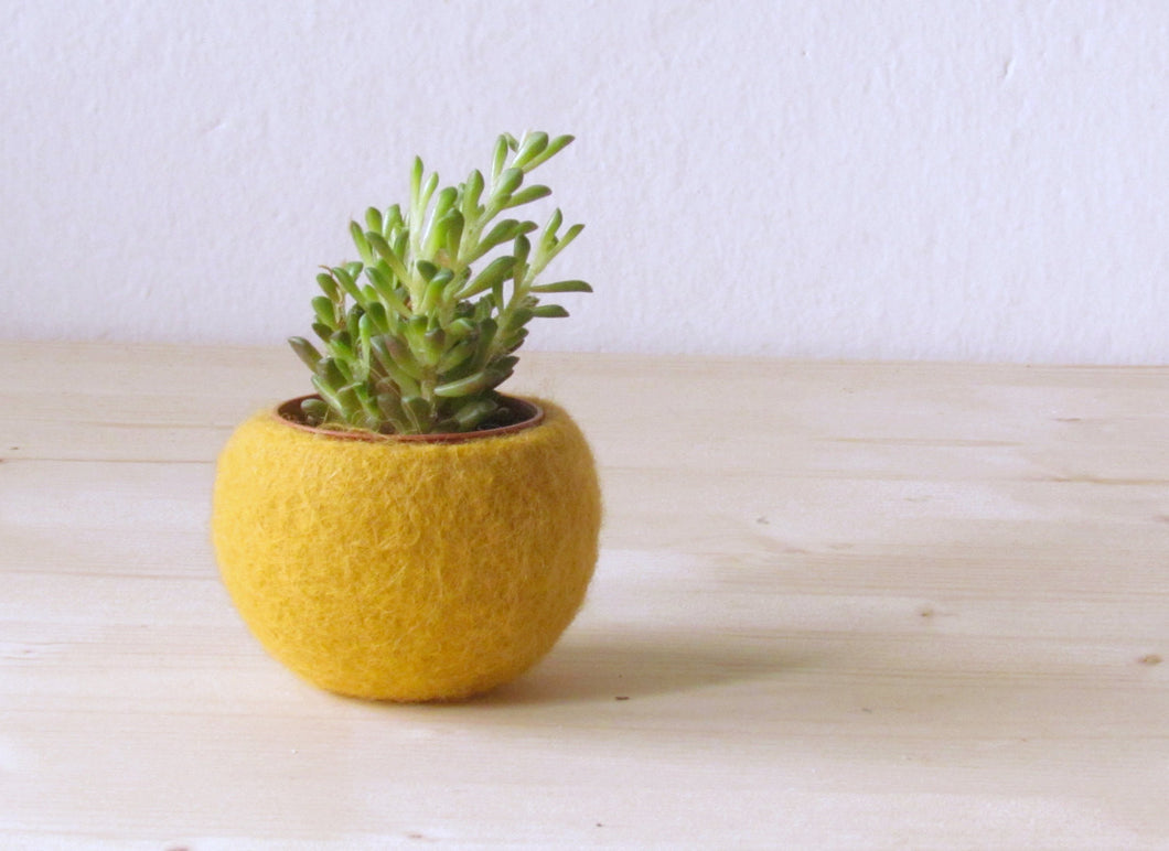 yellow succulent planter Succulent planter/felted pod/Air plant pot/mustard yellow desk organiz – The Yarn Kitchen