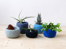 Blue succulent planters set, Instant collection