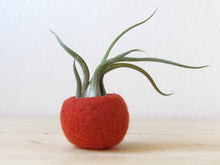 Succulent planter/air plant holder/cactus pot/plant vase/modern decor/gift for her/housewarming gift
