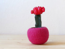 Felt succulent planter/felted terrarium/felt bowl/Succulent pod/cherry hot pink/minimalist design