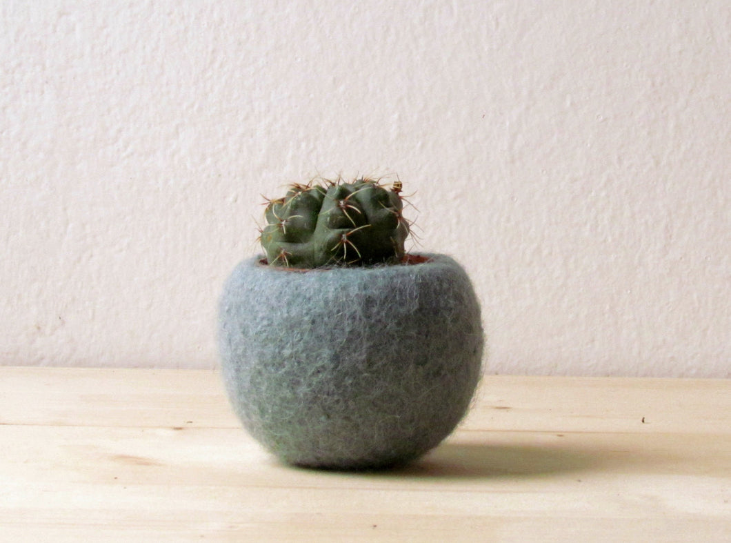 felt succulent planter Felt succulent planter/hygge decor/felted pod/Succulent terrarium/Gree – The Yarn Kitchen