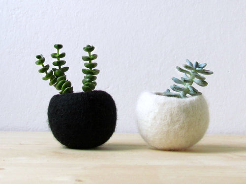 Succulent planter/Best friends forever planter/air plant holder/cactus pot/plant vase/modern decor/set of 2