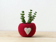 Gift for her/Succulent planter/Valentine gift/Cute cactus planter/Love planter/gift for mom/girlfriend gift