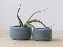 Grey green felted bowl/Two nesting bowls in grey green/Cozy Air plant holder/Minimalist decor
