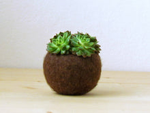Succulent planter/air plant holder/cactus pot/plant vase/modern decor/desk accessories