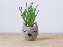 Felt succulent planter/7th anniversary gift/Small succulent pot/Cat head planter/Personalized planter/Cat person gift