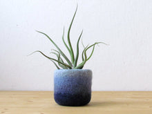 Ombre blue mini plant vase for air plants