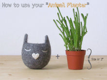 Cat head planter/Small succulent pot/Mustard cat/Felt succulent planter/colleague gift/gift for her- Choose your color!