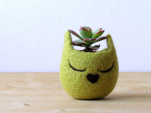 Cat head planter/Small succulent pot/Olive cat/Felt succulent planter/cat lover gift - Choose your color!