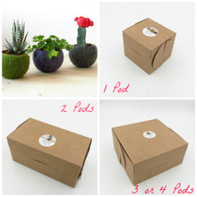 Mini planter set/plant pot/indoor planter/cactus vase/wife gift/home decor/kitchen decor/succulent planter/birthday gift