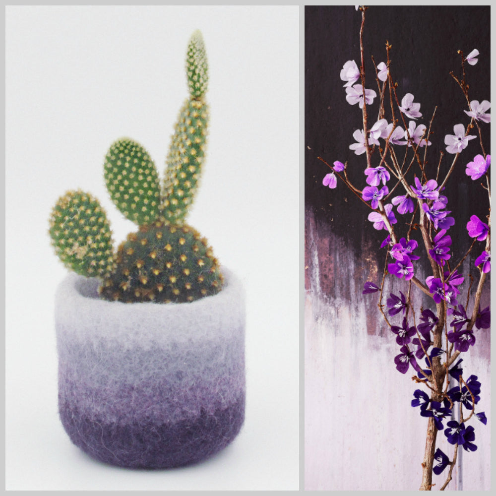 ombre succulent Felt succulent vase/Flowers/felted planter/cactus vase/Ombre Purple/ho – The Yarn Kitchen